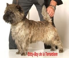 Eddy-boy De la terrardiere