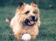 Only you De la terrardiere